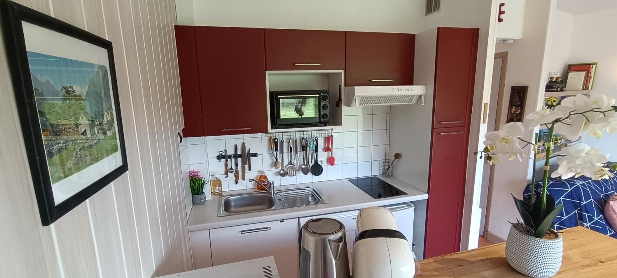 Apartment Avec Vue Exceptionnelle Sur Les Montagnes